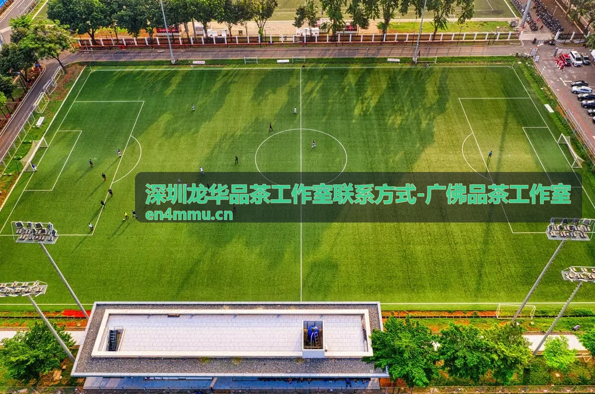 深圳龙华品茶工作室商务茶叙空间